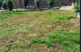 Casa de vanzare, cu 4 camere, 100 mp,  5300 mp teren, 40 km de Bistrita 