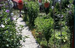 Casa de vanzare, cu 4 camere, 100 mp,  5300 mp teren, 40 km de Bistrita 