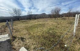 Teren extravilan de vanzare, 1000 mp, zona Valea Rusului 