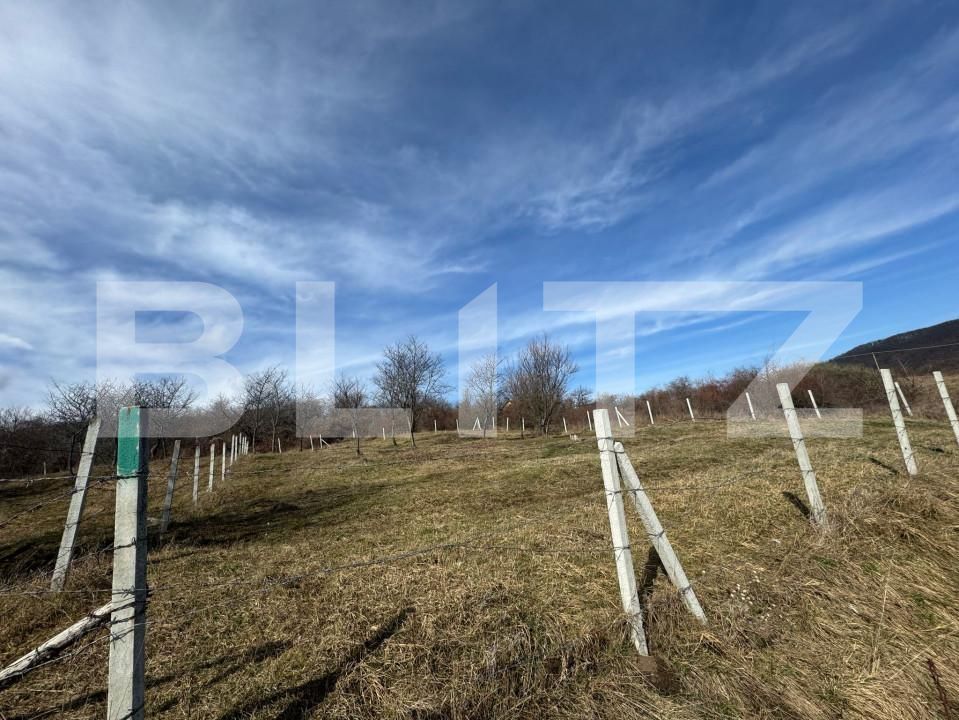 Teren de vânzare Nord - 167386TV | BLITZ Bistriţa | Poza2