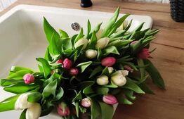 Apartament 3 camere, 87 mp, mobilat și utilat, loc de parcare, Bistrita