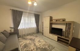 Garsoniera de vanzare, 33 mp, zona Independentei