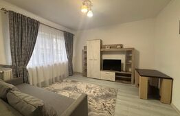 Garsoniera de vanzare, 33 mp, zona Independentei