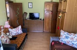 Apartament 2 camere, 46 mp, zona Decebal