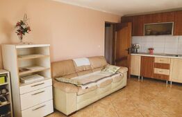 Casa Individuala, cu 5 camere, 250 mp, la  30 km de Bistrita