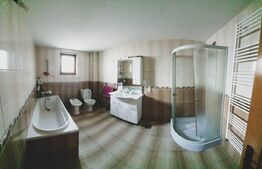 Casa Individuala, cu 5 camere, 250 mp, la  30 km de Bistrita