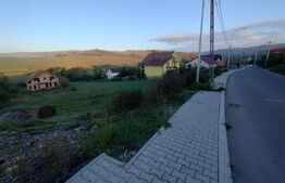 Casa la rosu cu 4 camere, 180 mp utili+teren 861 mp, zona Leoni