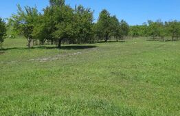 Teren intravilan de vanzare, 28 de ari, zona Herina, Bistrita