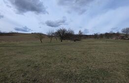 Teren intravilan de vanzare, 28 de ari, zona Herina, Bistrita