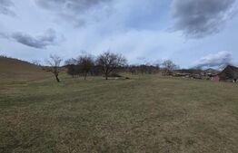 Teren intravilan de vanzare, 28 de ari, zona Herina, Bistrita