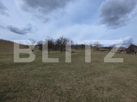 Teren de vânzare Exterior Sud - 167570TV | BLITZ Bistriţa | Poza3