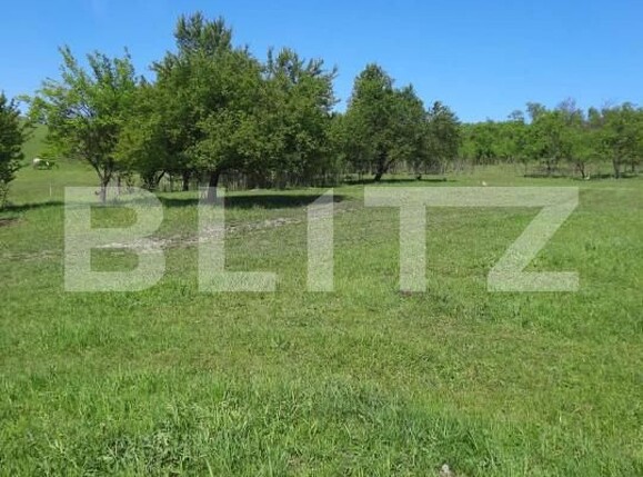 Teren de vânzare Exterior Sud - 167570TV | BLITZ Bistriţa | Poza2