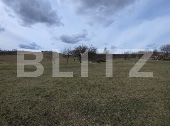 Teren de vânzare Exterior Sud - 167570TV | BLITZ Bistriţa | Poza4
