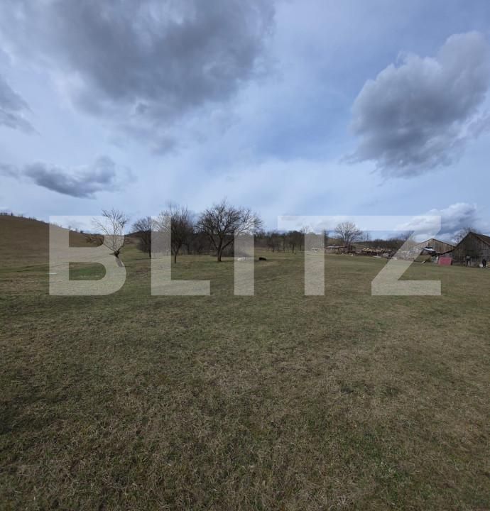 Teren de vânzare Exterior Sud - 167570TV | BLITZ Bistriţa | Poza3
