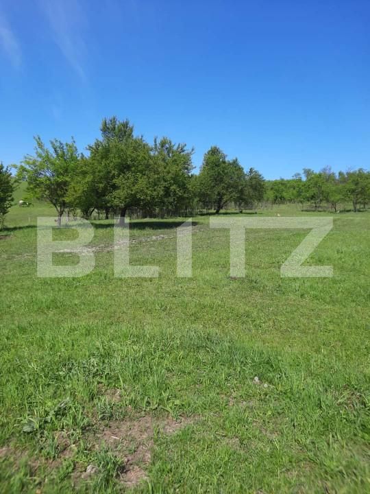 Teren de vânzare Exterior Sud - 167570TV | BLITZ Bistriţa | Poza2