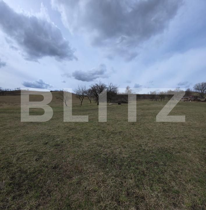 Teren de vânzare Exterior Sud - 167570TV | BLITZ Bistriţa | Poza4