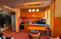 Apartament de vanzare, cu 3 camere, 55 mp, etaj 1, zona Centrala