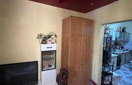 Doua apartamente, zona centrala