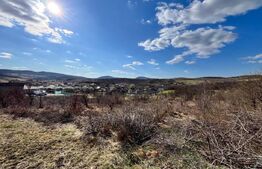 Teren intravilan de vanzare, 11.33 ari, situat in zona Valea Sigmir