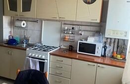 Apartament cu 2 camere, 50 mp, zona Decebal