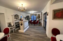 Casa de vanzare, plus afacere la cheie, la 25 de KM de Bistrita 