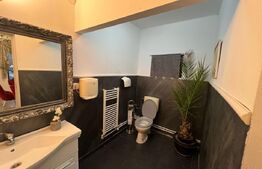 Casa de vanzare, plus afacere la cheie, la 25 de KM de Bistrita 