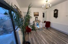 Casa de vanzare, plus afacere la cheie, la 25 de KM de Bistrita 