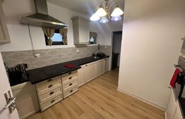 Casa de vanzare, plus afacere la cheie, la 25 de KM de Bistrita 