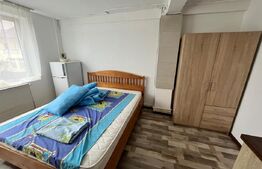 Oportunitate! Casa Individuala/Pensiune, 14 camere, 408 mp, zona Piata Decebal