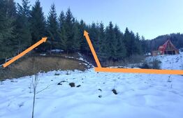 Teren Colibita, 1120 mp