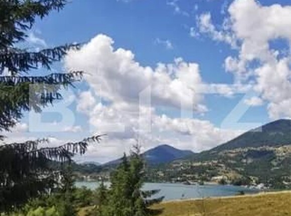 Teren de vânzare Colibiţa - 167764TV | BLITZ Bistriţa | Poza6