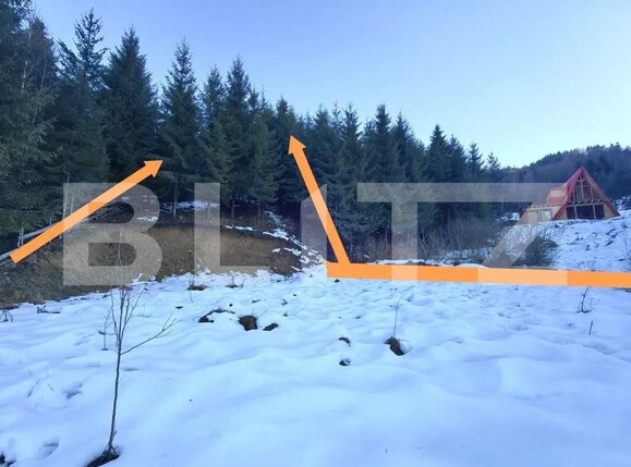 Teren de vânzare Colibiţa - 167764TV | BLITZ Bistriţa | Poza5