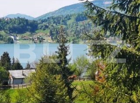 Teren de vânzare Colibiţa - 167764TV | BLITZ Bistriţa | Poza3