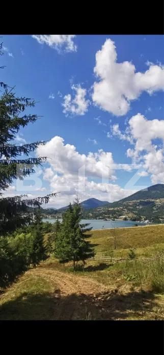 Teren de vânzare Colibiţa - 167764TV | BLITZ Bistriţa | Poza6