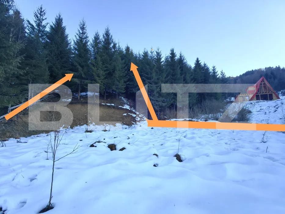 Teren de vânzare Colibiţa - 167764TV | BLITZ Bistriţa | Poza5