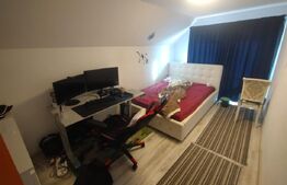 Casa 5 camere, 110mp,3 nivele,centrala peleti,teren 234mp,Prundu Bargaului