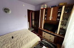 Apartament 2 camere,etaj 1 zona Decebal