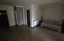 Apartament cu 2 camere, 46,5 mp, Valeria Peter Predescu
