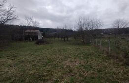 Teren intravilan, 1700 mp, utilitati, zona Dealu Jelnei