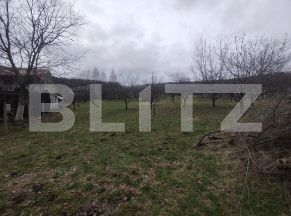 Teren de vânzare Sud-Est - 167950TV | BLITZ Bistriţa | Poza5