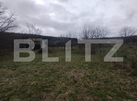 Teren de vânzare Sud-Est - 167950TV | BLITZ Bistriţa | Poza3