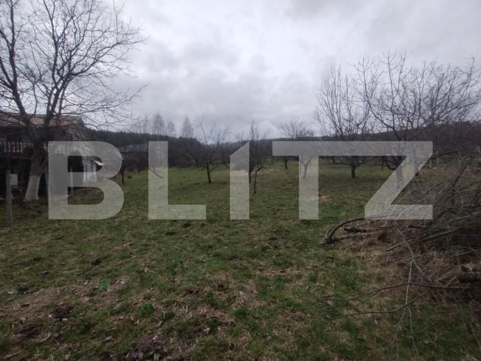 Teren de vânzare Sud-Est - 167950TV | BLITZ Bistriţa | Poza5
