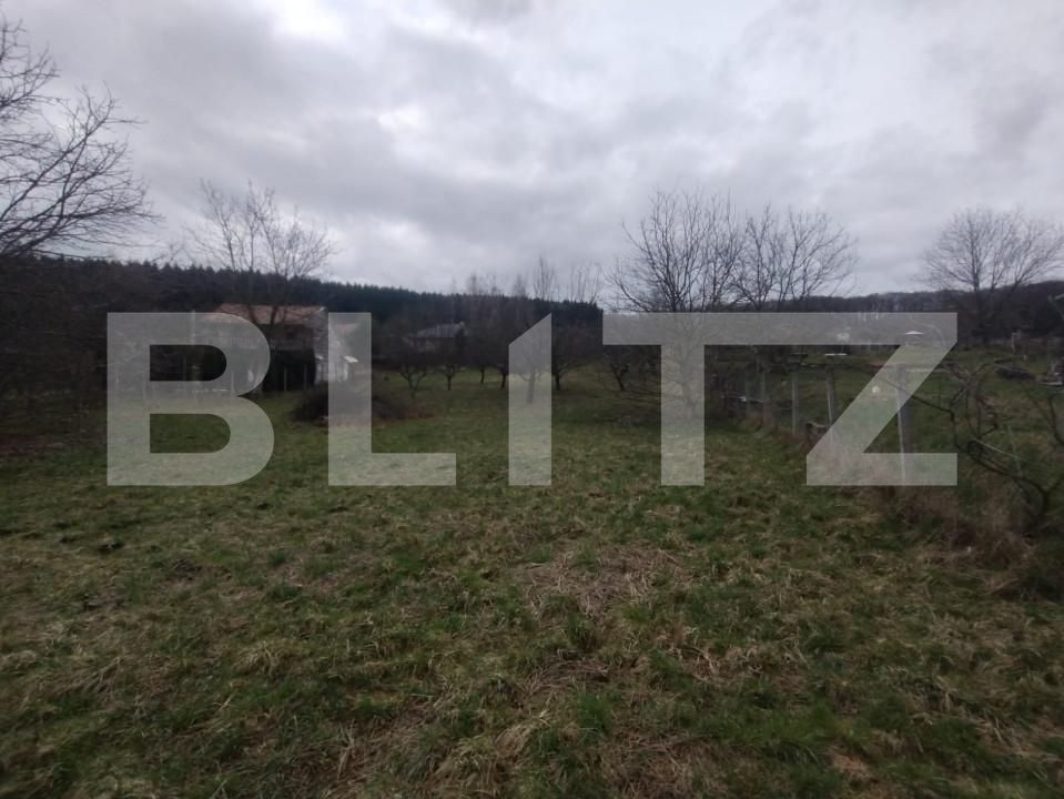 Teren de vânzare Sud-Est - 167950TV | BLITZ Bistriţa | Poza3
