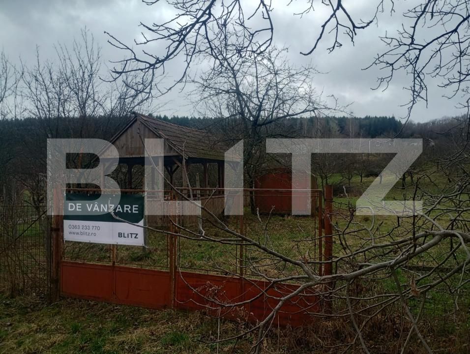 Teren de vânzare Sud-Est - 167950TV | BLITZ Bistriţa | Poza2