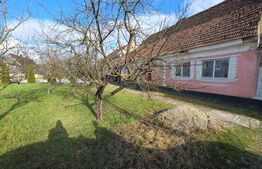 Casa saseasca de vanzare, Livezile