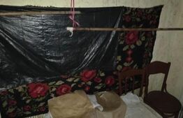 Casa saseasca de vanzare, Livezile