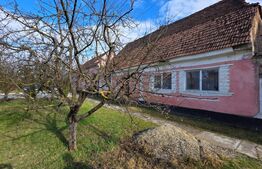 Casa saseasca de vanzare, Livezile