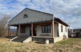 Casa la Rosu la 10 km de Bistrita 