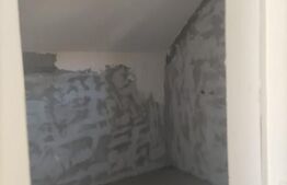 Casa individuala, 4 camerra, 400 mp, la 30 km de Bistrita 