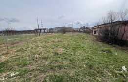 Teren Intravilan de vanzare, 4400 mp, zona Viisoara